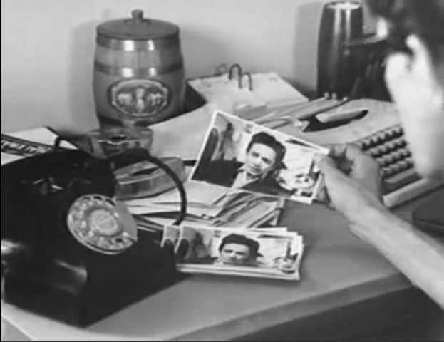 Photographs of the stars
