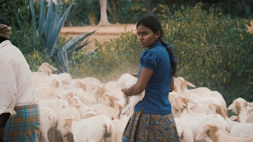 A scene from Thithi