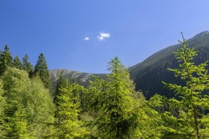 Sky
