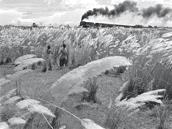 Pather Panchali train scene