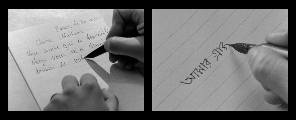 charulata shots
