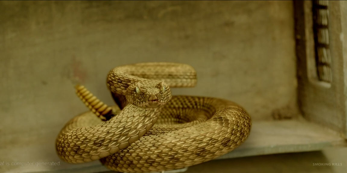 rattle snake