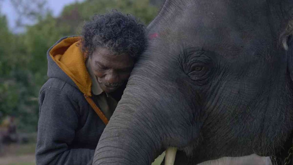 The Elephant Whisperers