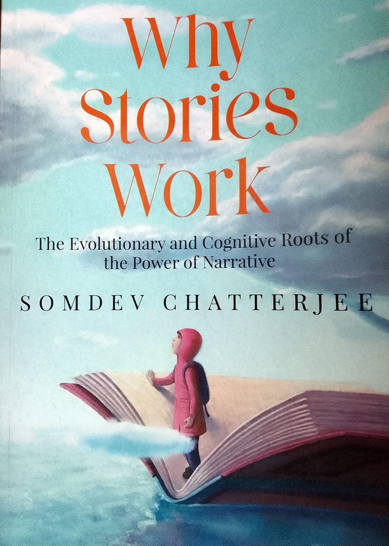 Why Stories Work (Front Cover)