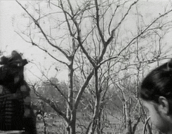 Subarnarekha (1965)