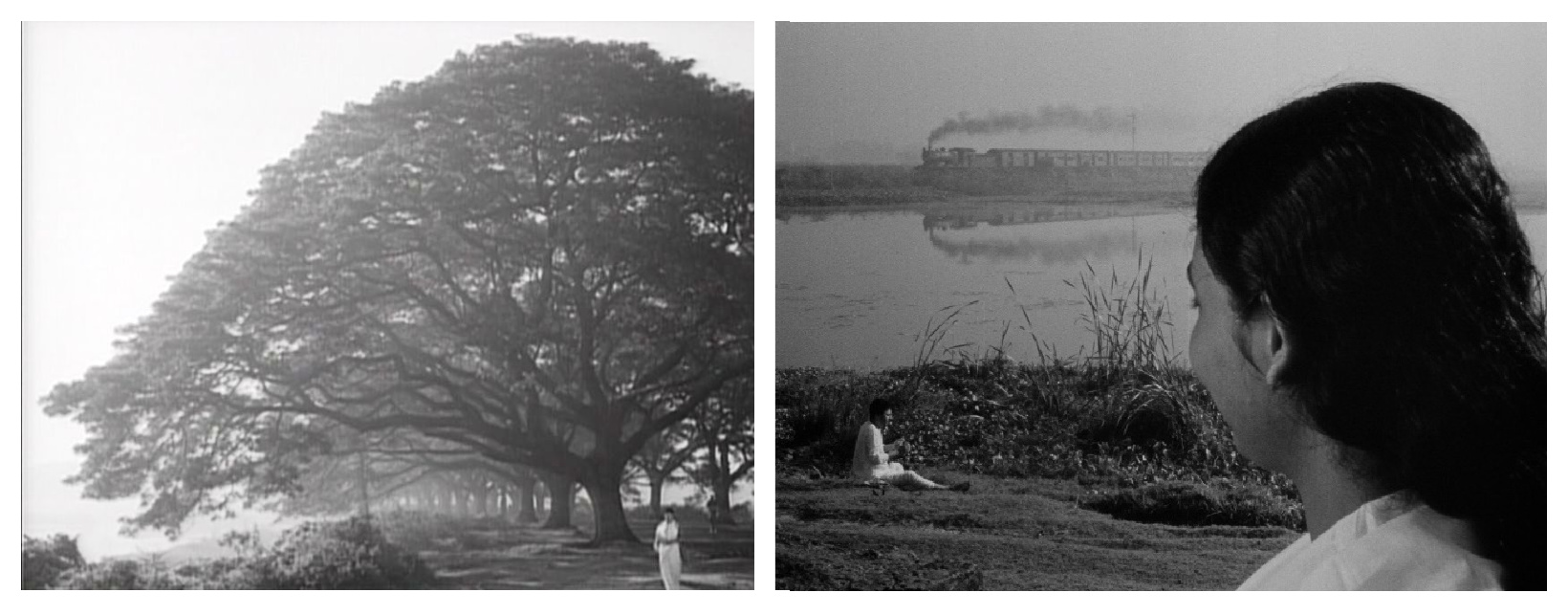Meghe Dhaka Tara (1960)