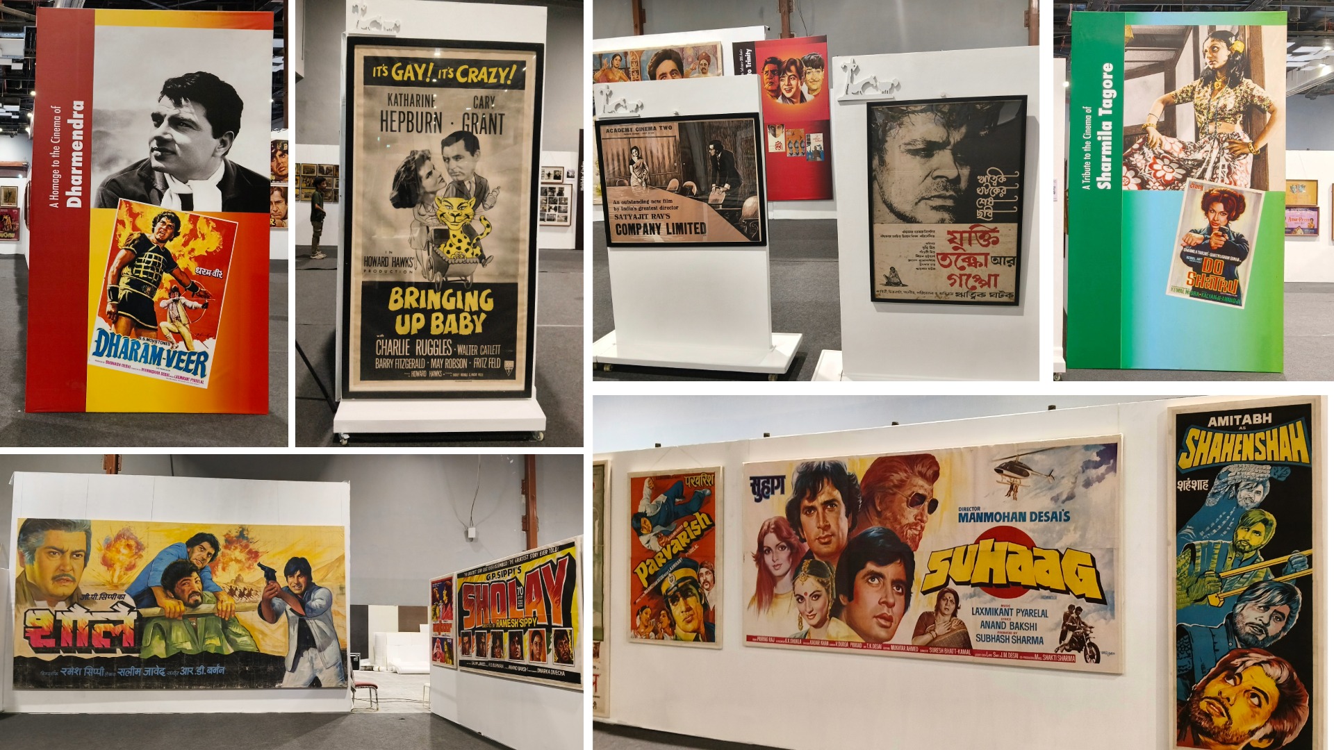 IFFD Exhibition of Cinema Memorabilia Tuli Research Centre