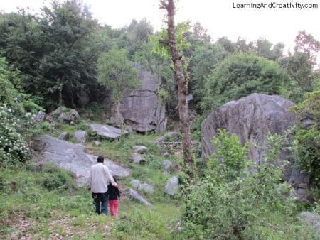 Trekking In Forests
