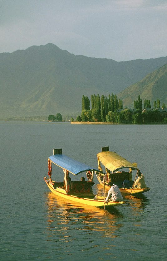 Kashmir