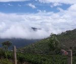 Ooty - Queen of the Hills