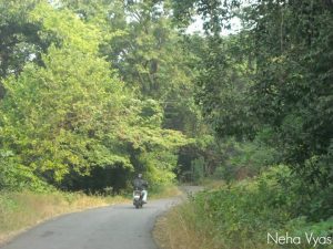 Beautiful views of lush green
