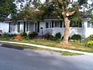Bungalow