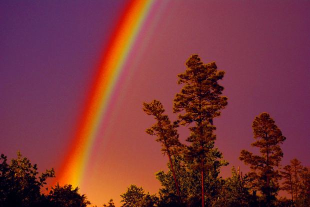 Rainbow