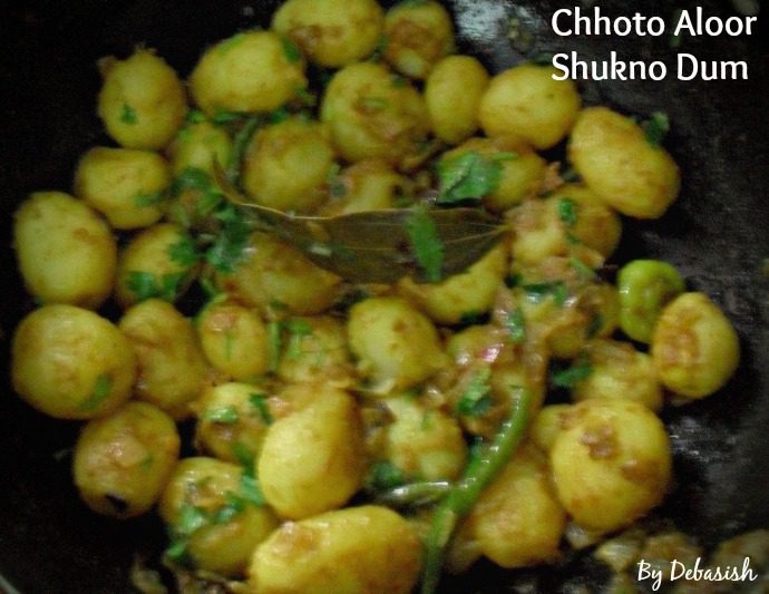 Chhoto Aloor Shukno Dum