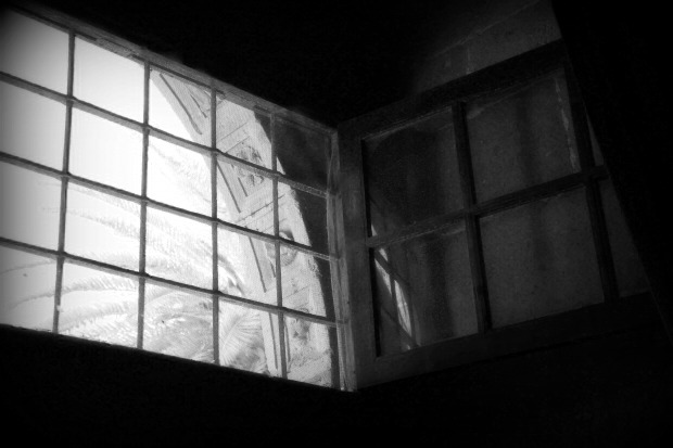 window bars