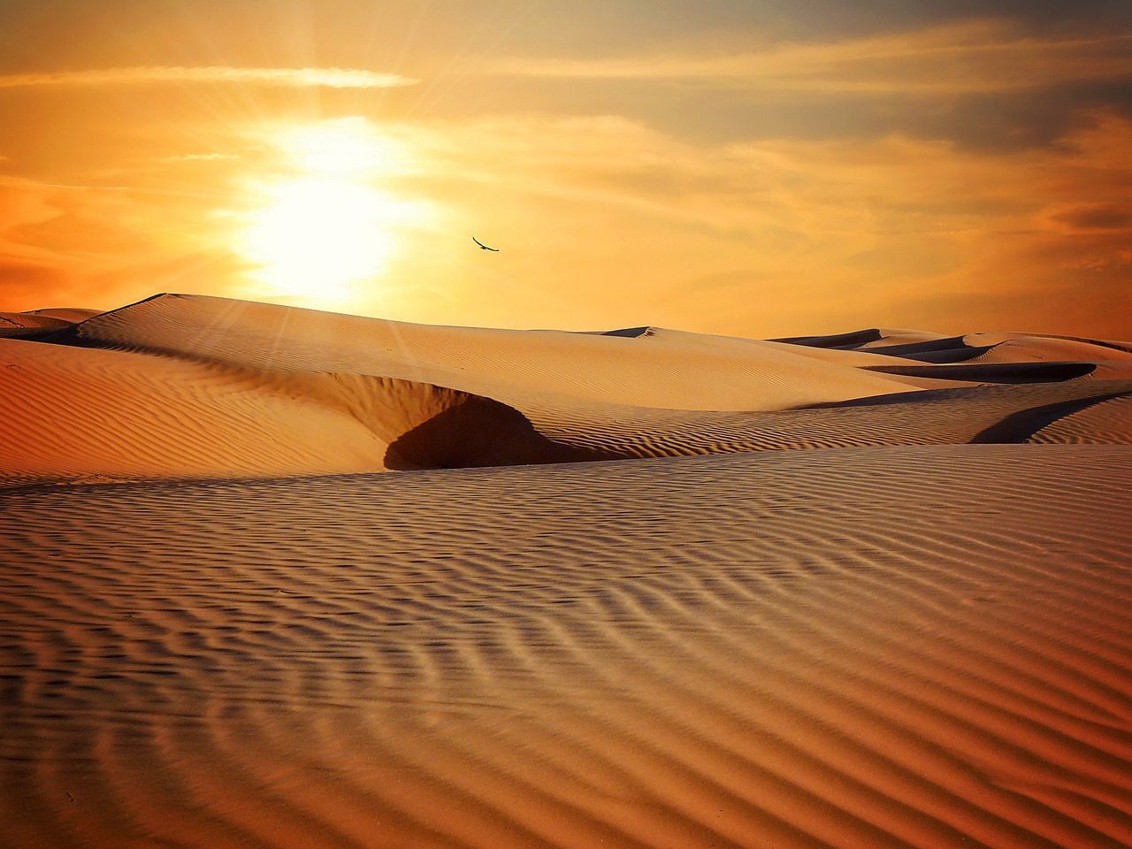 searing sand in the desert