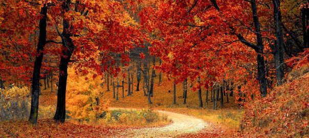 Ode to Autumn