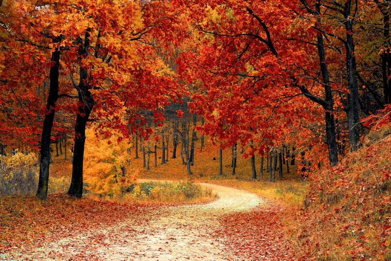 Ode to Autumn
