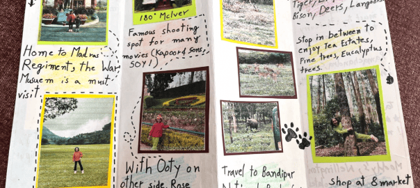 handmade travel brochure nilgiris