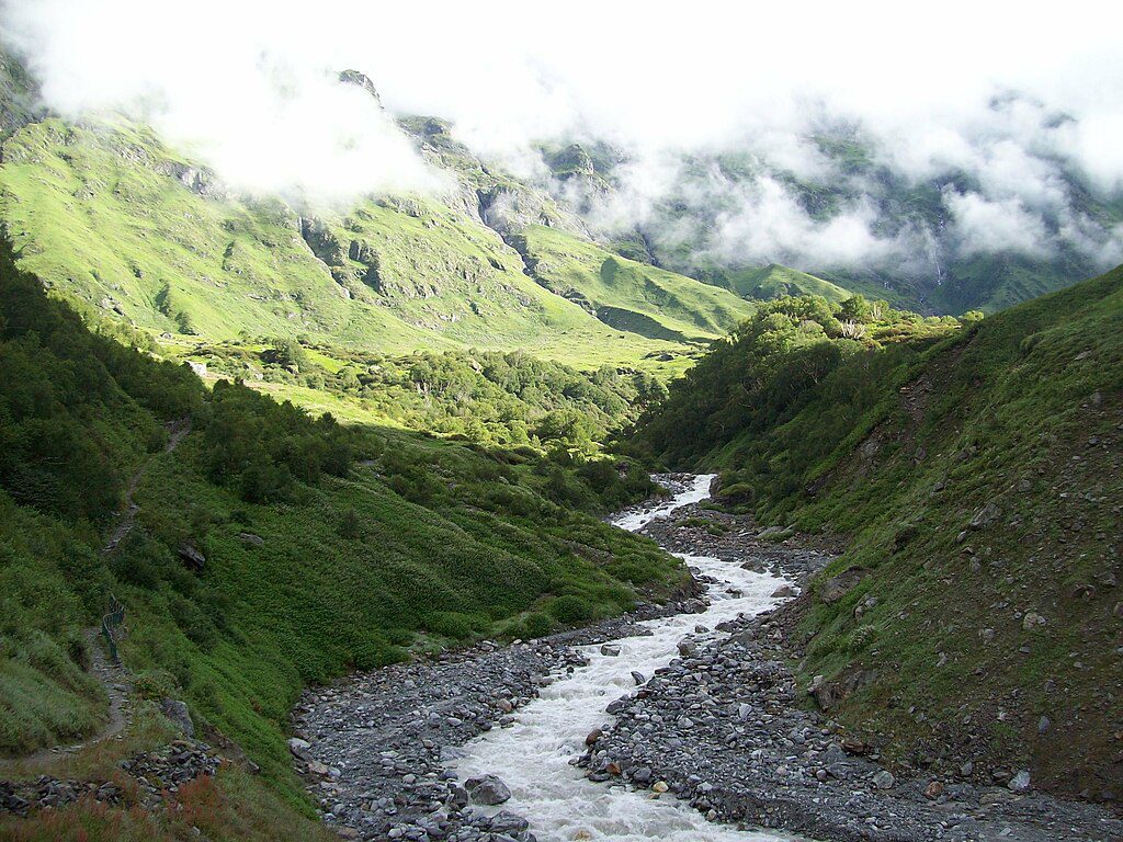 Valley of flowers