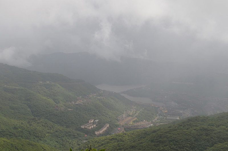 The verdant landscape