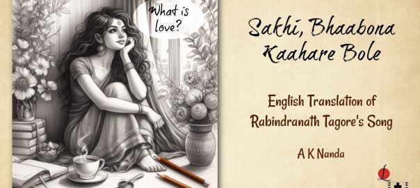 Sakhi bhabona kahare bole english translation