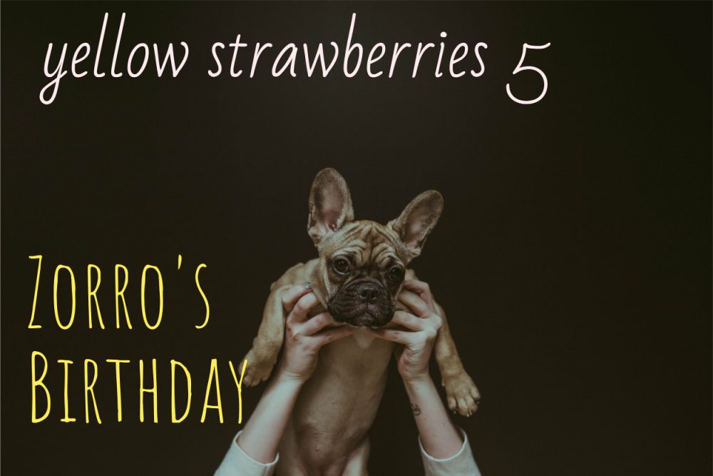ZORRO BIRTHDAY Yellow Strawberries Part-5 Short Story - Prosenjit (LnC)