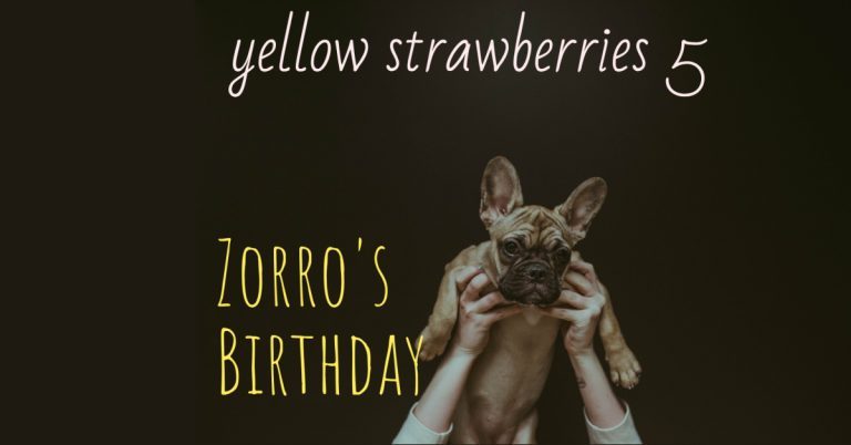 ZORRO BIRTHDAY Yellow Strawberries Part-5 Short Storyt (LnC)