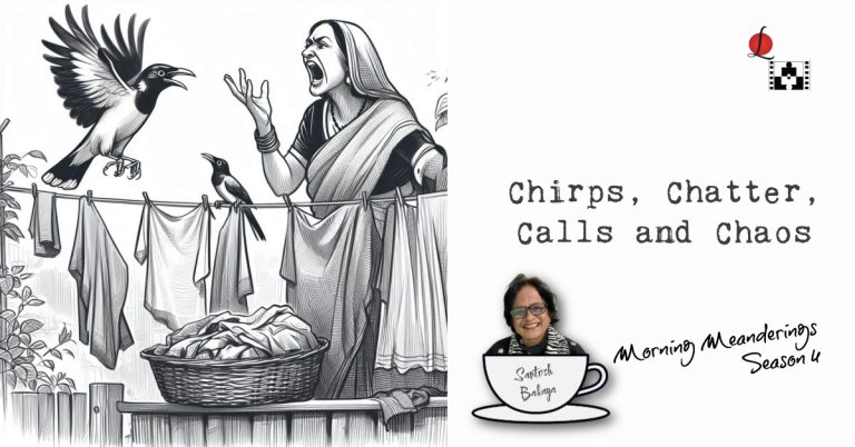20 Chirps, Chatter, Calls and Chaos