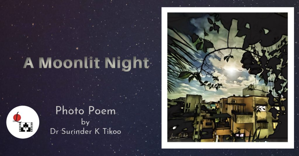 a moonlit night photo poem