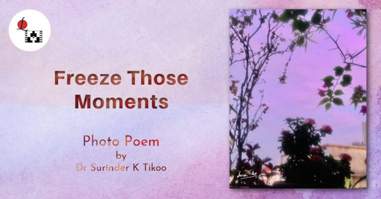 Freeze Those Moments photo poem