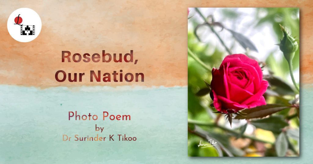 Rosebud Our Nation (photo poem) (1)